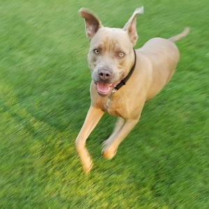 Fundraising Page: Canon Hallam